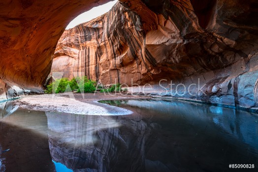 Picture of Golden Cathedral Neon Canyon Escalante National Park Utah